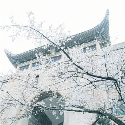 北京大学辟谣 ：北大未联系“郭有才”，“于一凡”非北大教职工